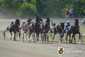 Predsednik Pahor na kasaških dirkah v Ljutomeru 1
